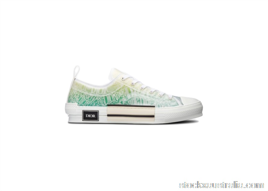 Dior And Shawn B23 Low Top 3SN249YYL_H661 QH