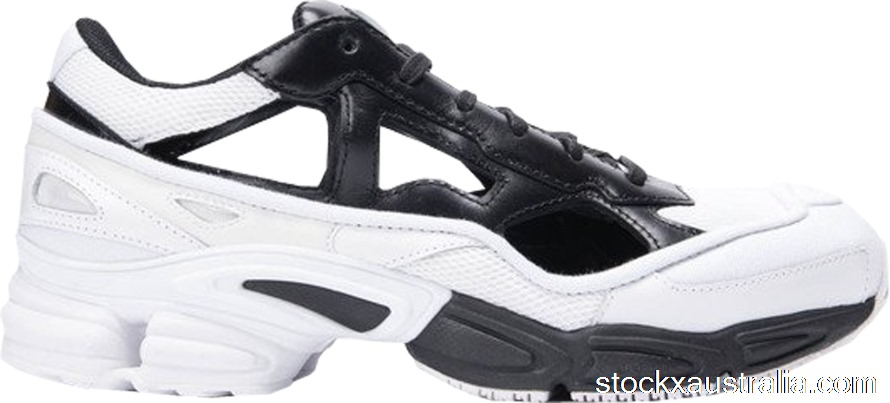 adidas RS Replicant Ozweego Raf Simons Black Cream (Special Edition with Socks) B22512 QH