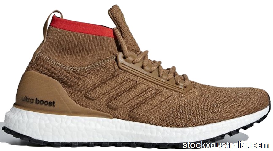 adidas Ultra Boost All Terrain Raw Desert CM8258 QH