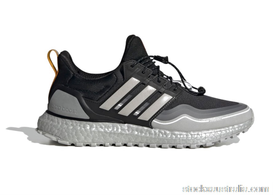 adidas Ultra Boost Winter Rdy DNA Metallic Silver FW8696 QH