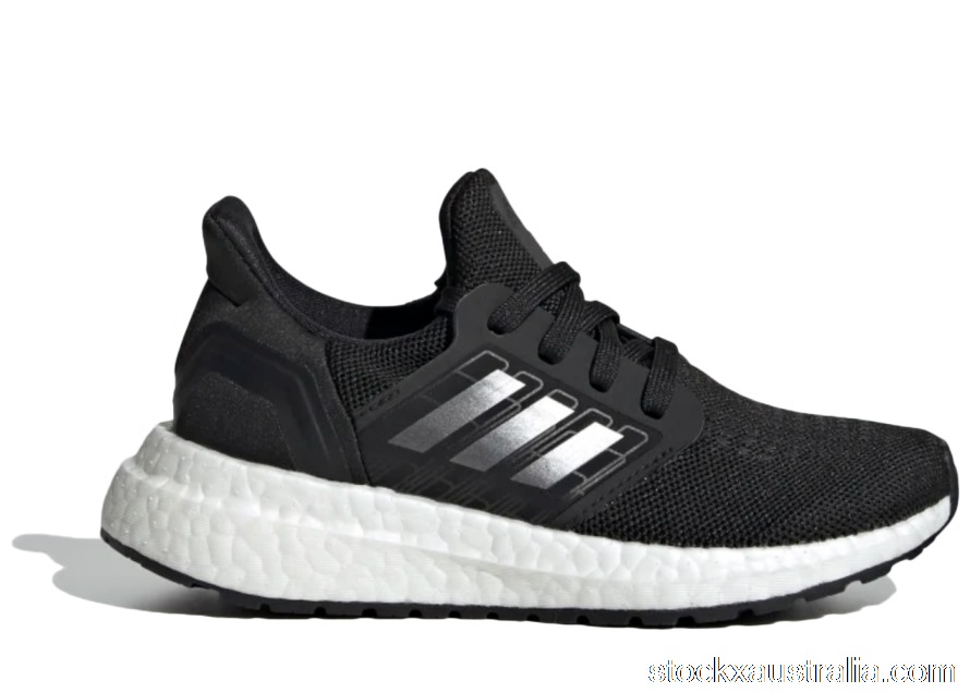 adidas Ultraboost 20 Night Metallic (PS) EG4826 QH